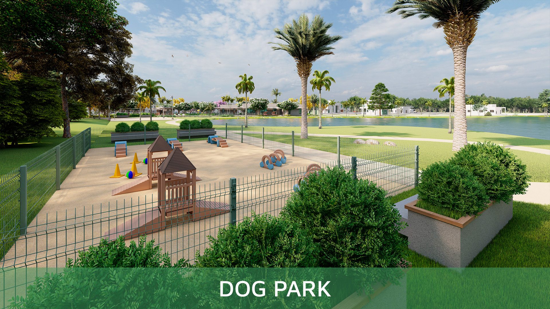 Dog Park